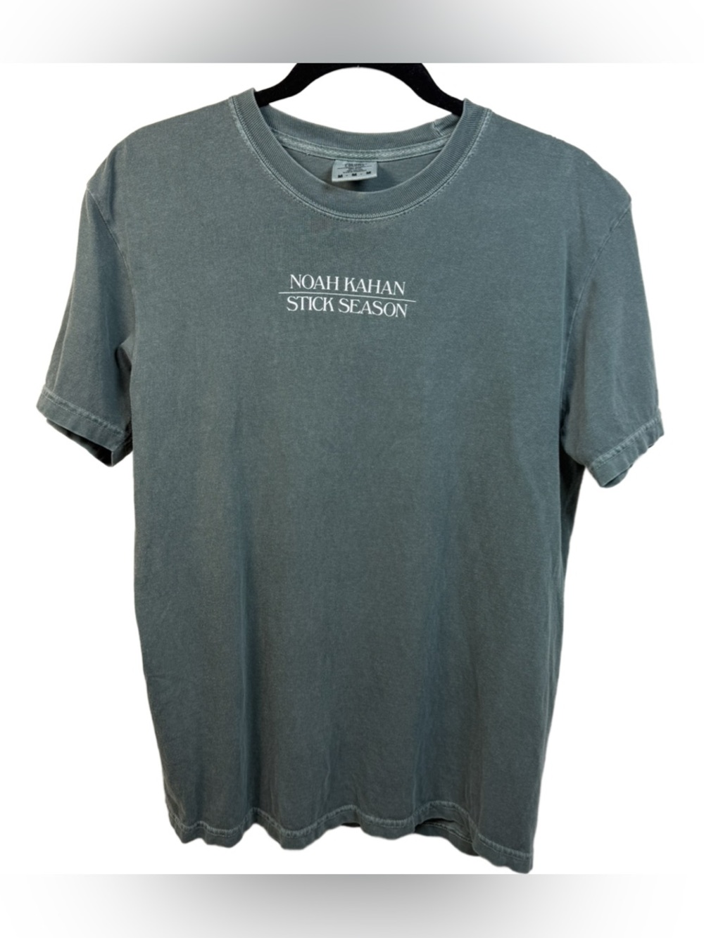Noah Kahan Stick Season Graphic Tee in Slate Green
